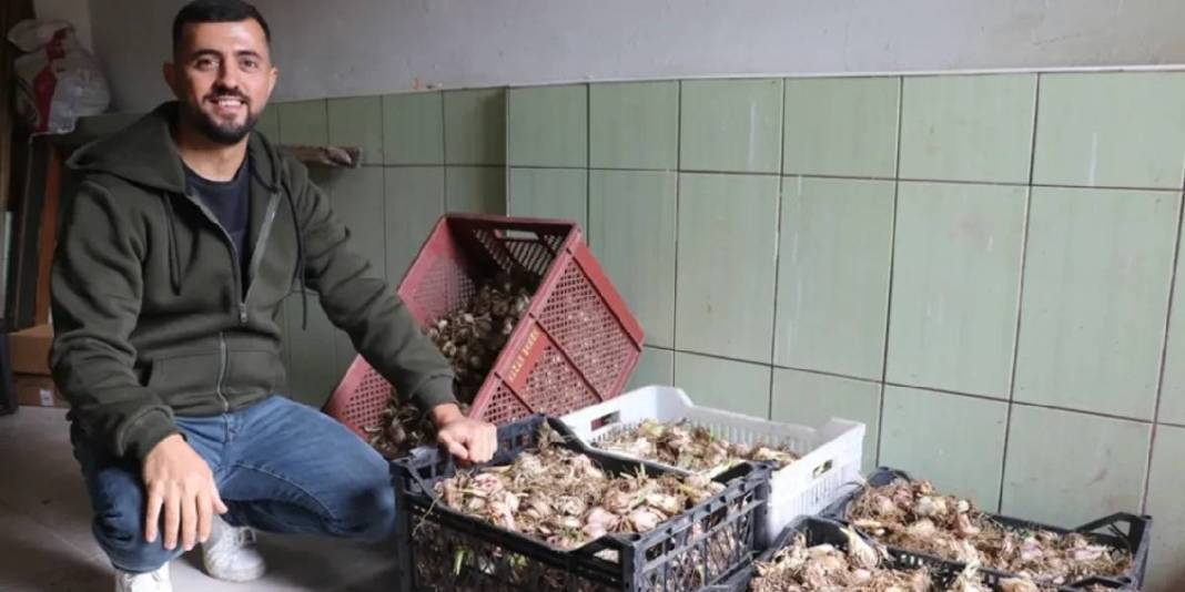 Hem çiçeğini hem tohumunu satıyor, talep patlıyor! Yurt içinin ardından yurt dışına açılmaya hazırlıyor 6